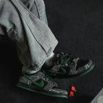 NIKE SB DUNK THERE SKATEBOARD
