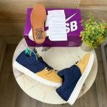 NIKE SB DUNK LOW PRO BACKPACK